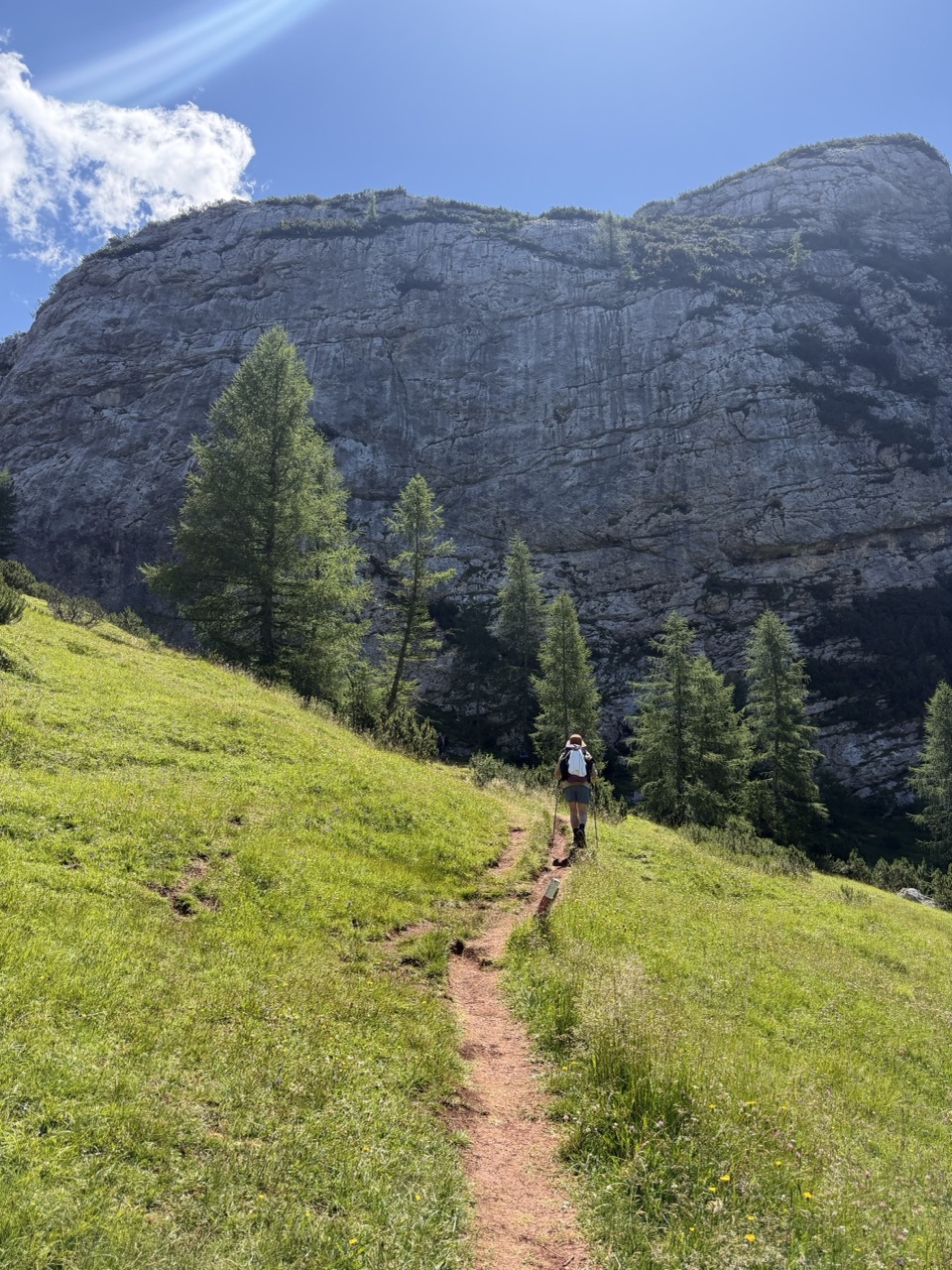 Meadow Path and Cliff