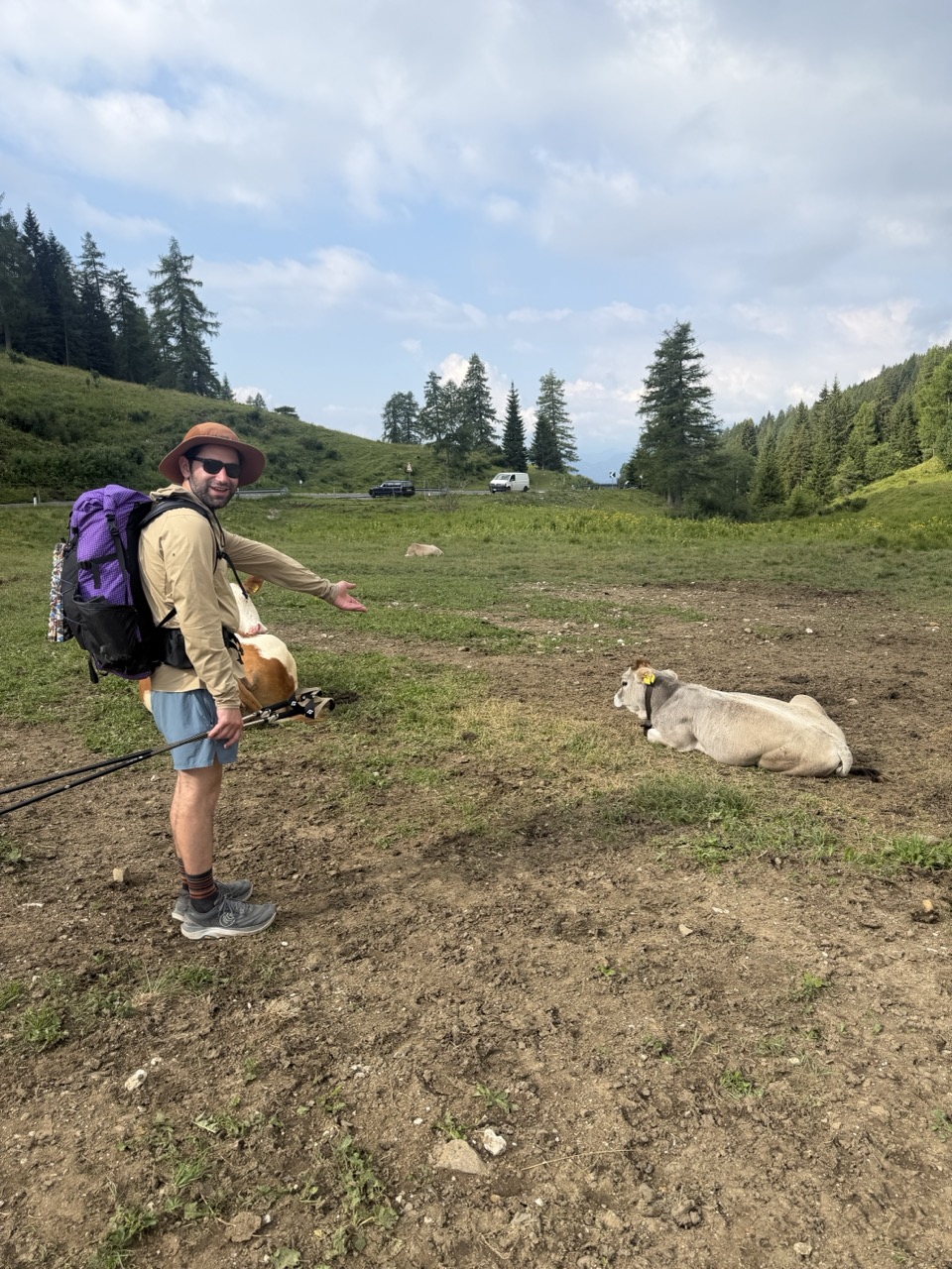 Sam and Cow