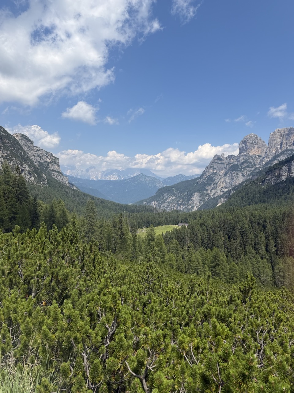 Green Valley