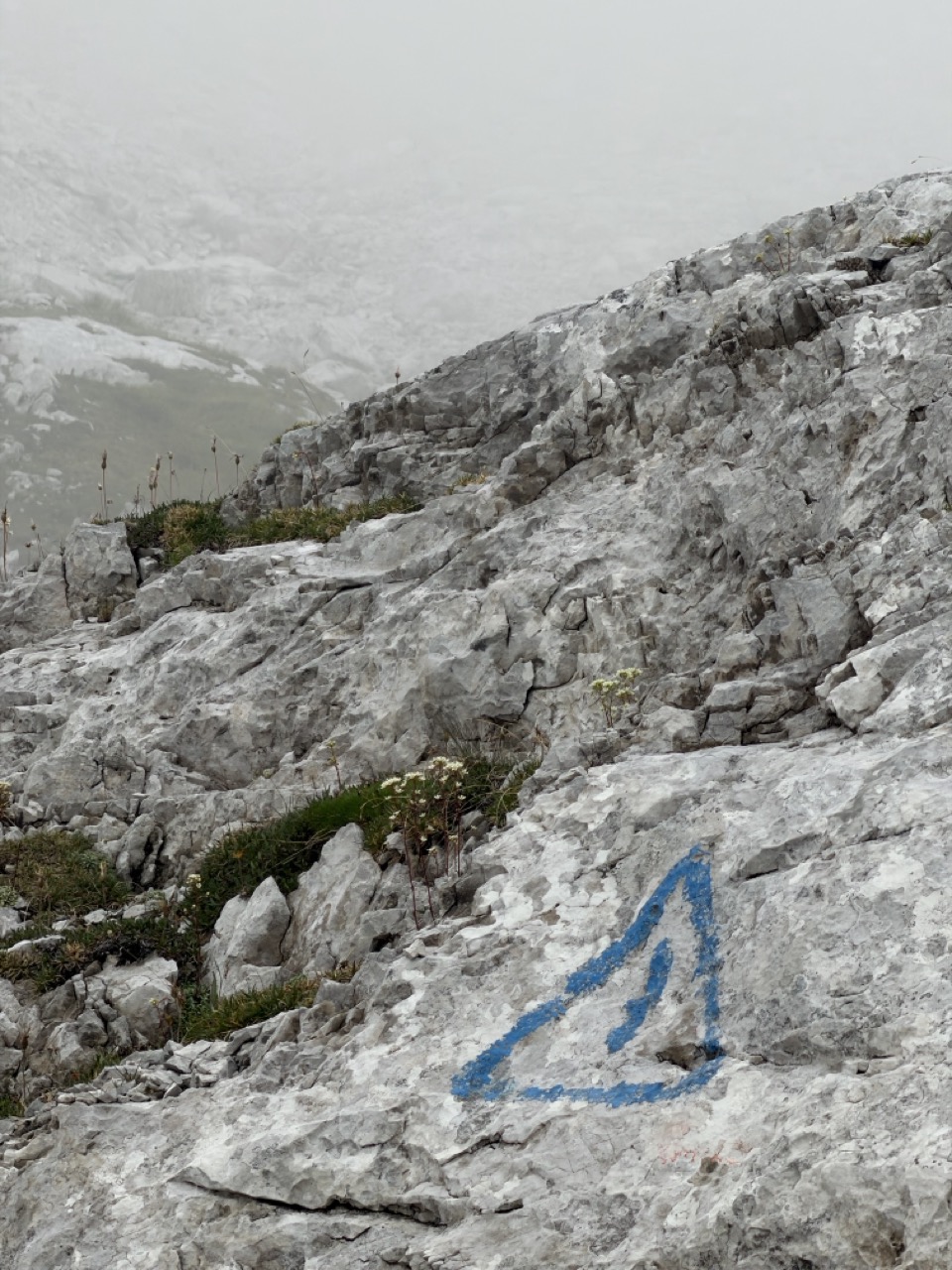 Alta Via 1