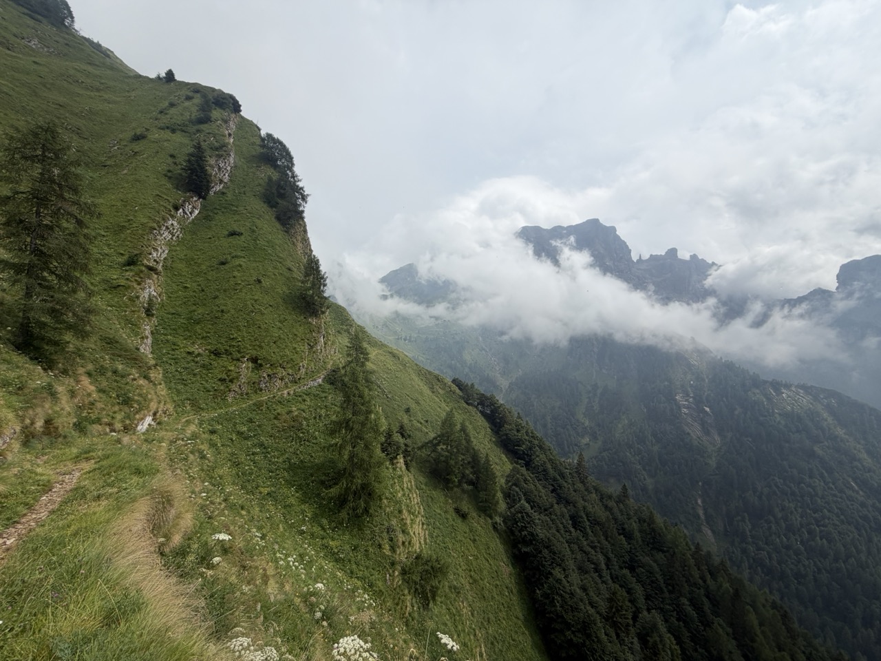 Steep Meadow