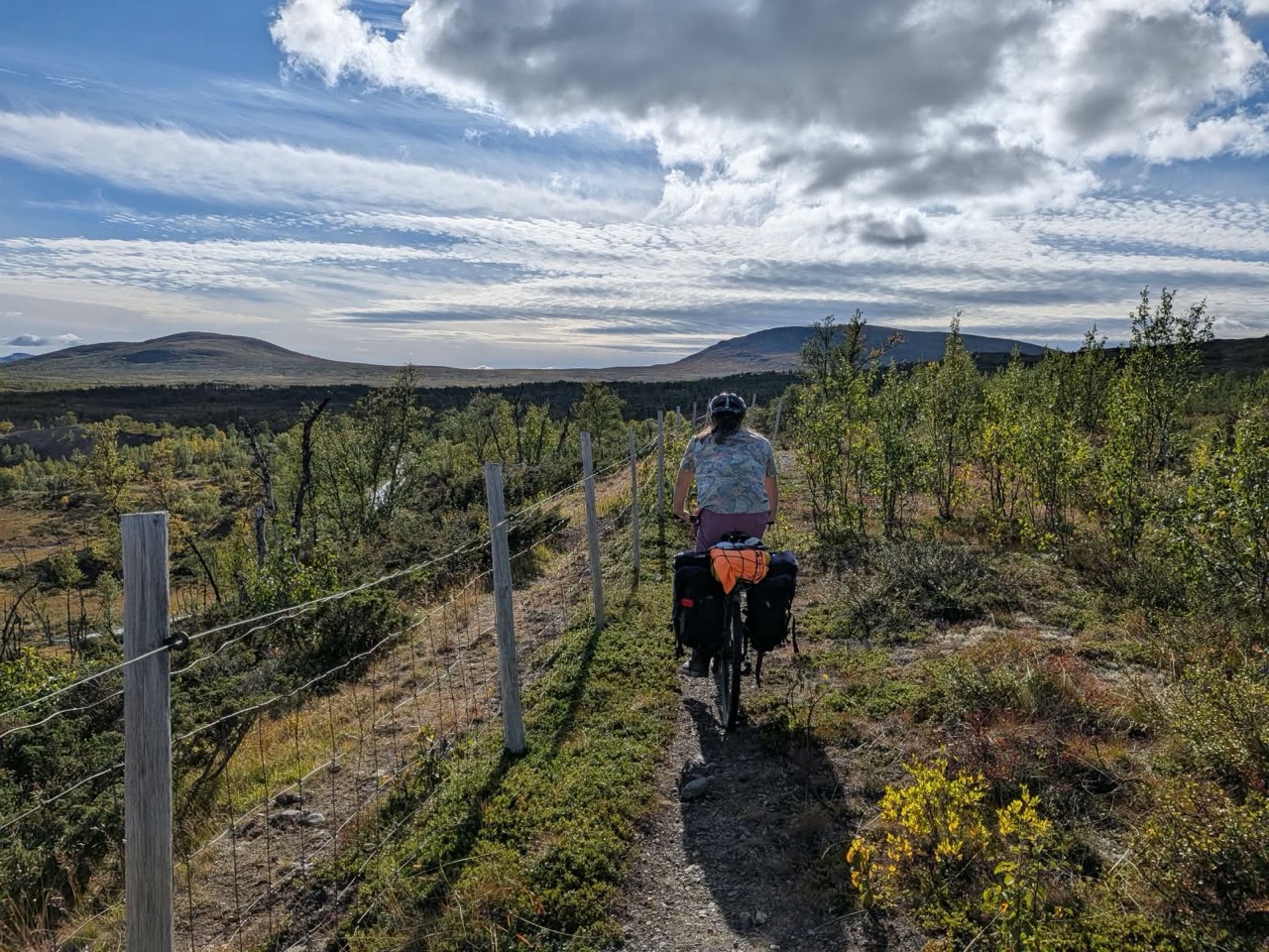 Tommy Mountain Biking
