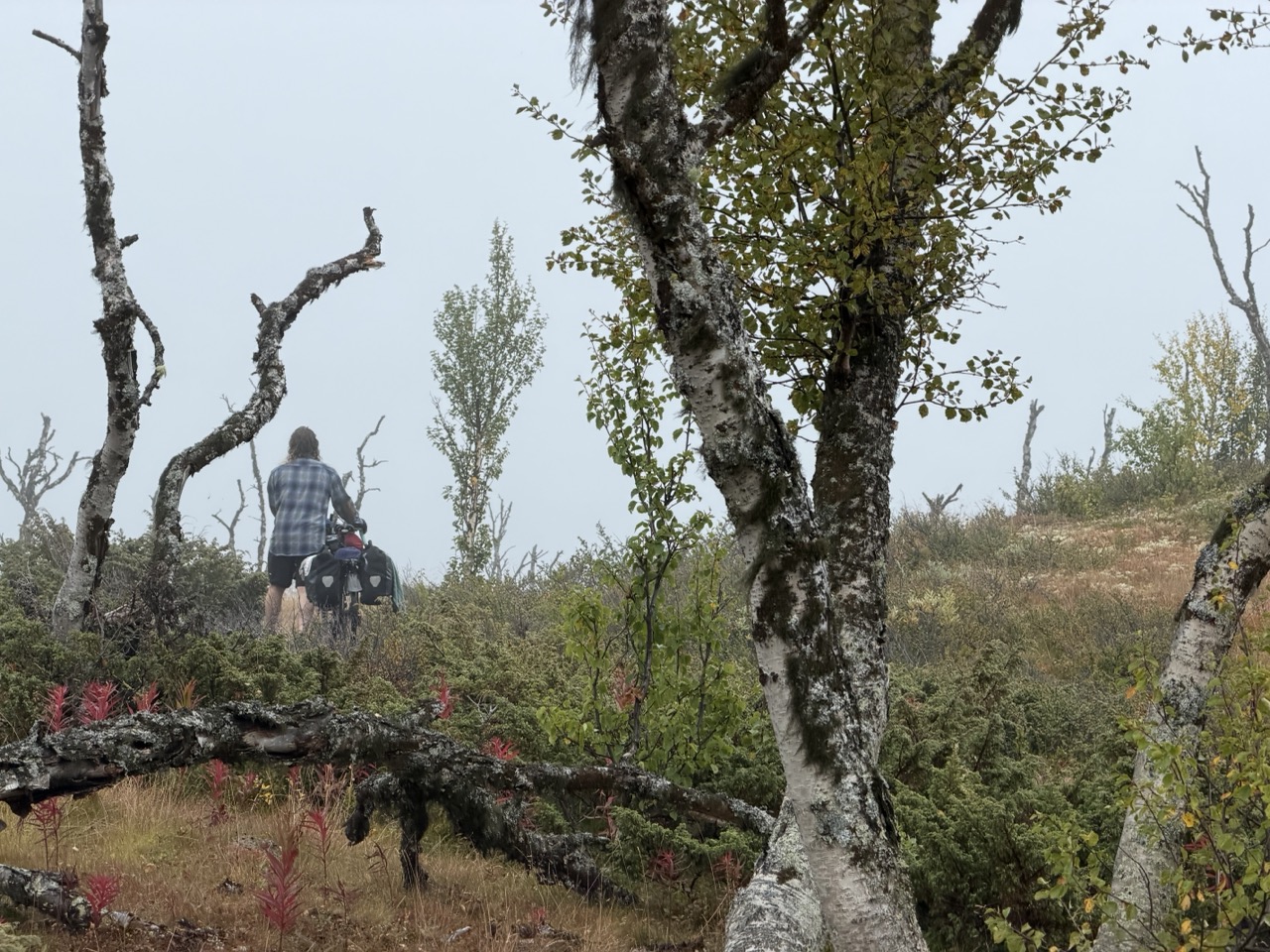 Lars Hikes a Bike